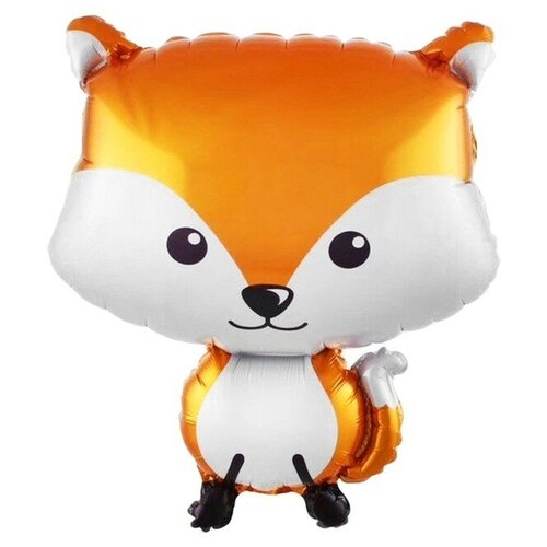 ���� ��� �������������� ��������� 