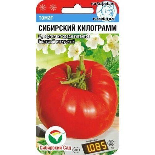 ���� ������ ����� ��������� ��������� 20�� ����� (��������� ���)