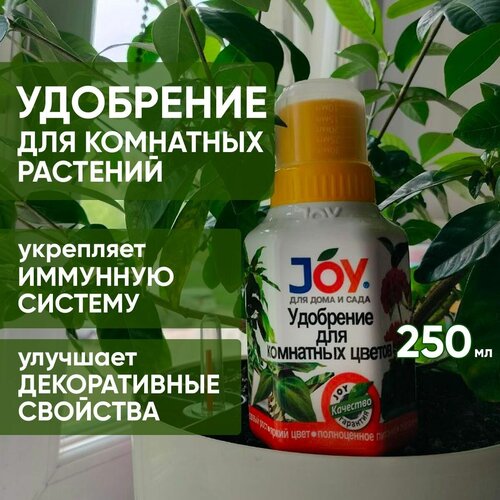        , JOY, 250   -     , -,   