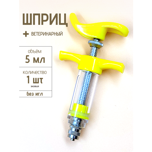 ���� ����� ���������� � ������ ��� ������� ����-��� 5 ��