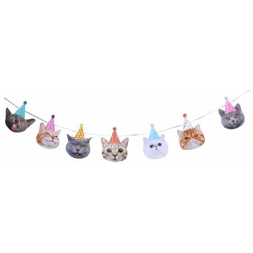 ���� �������� ������ ������������� 250��/G