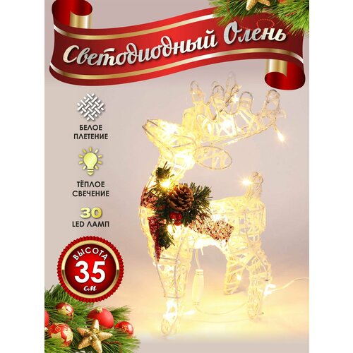 ���� ����� ���������� ������������ ���������� 30 �� �����