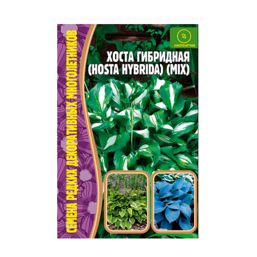       (Hosta hybrida) (0,02 )  -     , -,   