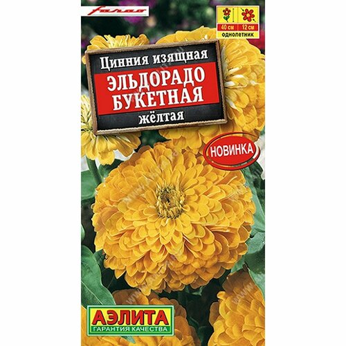 ���� ������ ������ ��������� �������� ������, ����������, (������) 12��