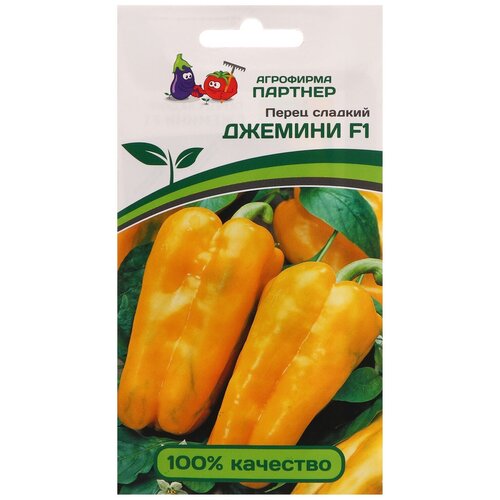 ���� ������ ����� �������� 