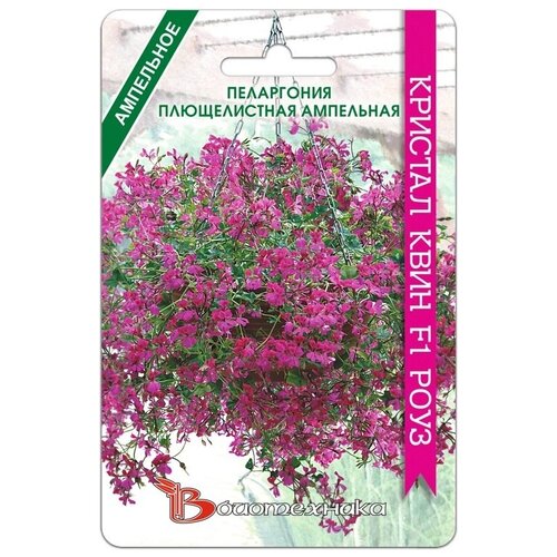 ���� ������ ���������� ������������ ��������� 