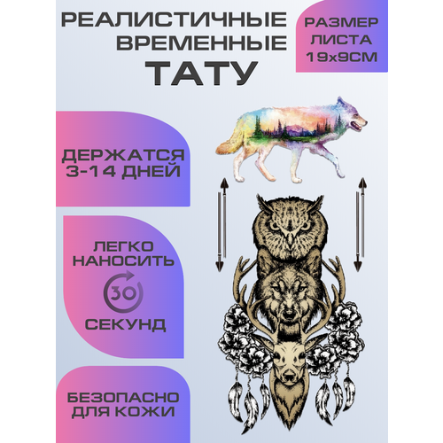 ���� ���� ���������� �������������� ����