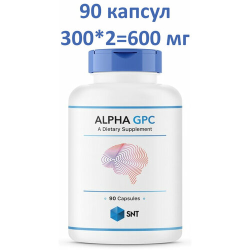 ���� SNT Alpha GPC 600 �� 90 ������