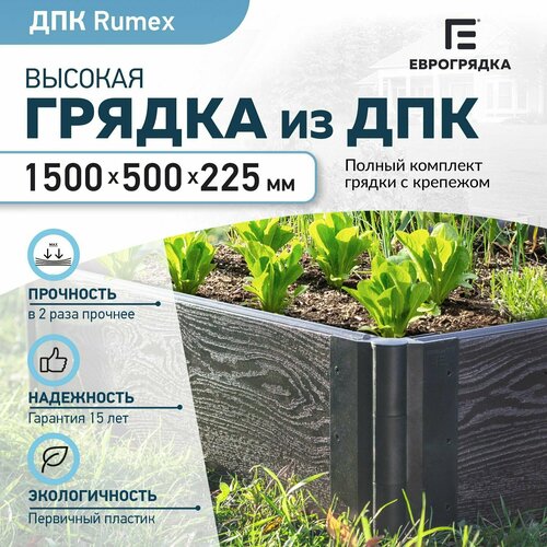     1.5  x 0.5 , ( Rumex: 22530 , : )