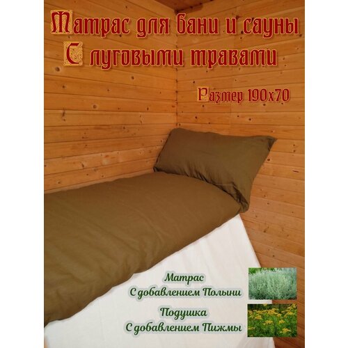 ���� SENO OK ������ ��� ���� � ����� � �������� �������