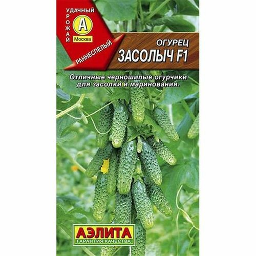 ���� ������ ������ ������� F1 (������������������) (������) 10��