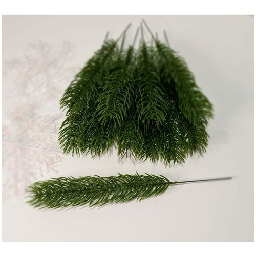 ���� ����� ������ �� ������������� ����� . ���� ������. ������ 23 ��. �������� 10 ��.