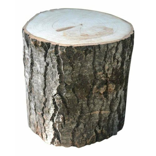 ���� ����� �������� 50��