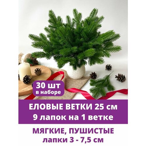 ���� ������ ����� �������������, ������ �����, 9 ����� �� �����, ����� ������, ����������, 25 ��, ����� 30 �����