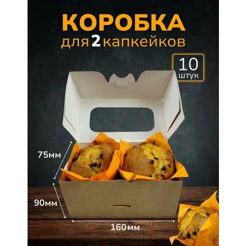 ���� ������� ��� 2 ��������� � ���������� ������� ��� 16x9.5x7,5 �� ����� 10 ��