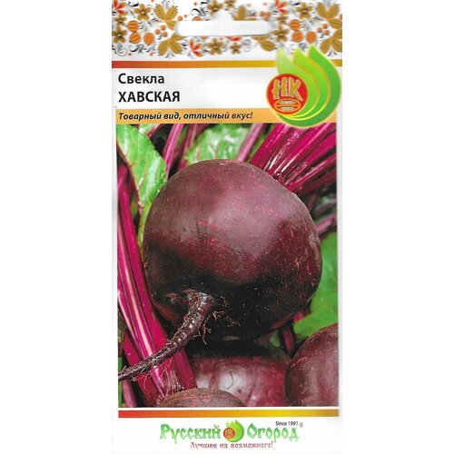 ���� ������ �������, ������