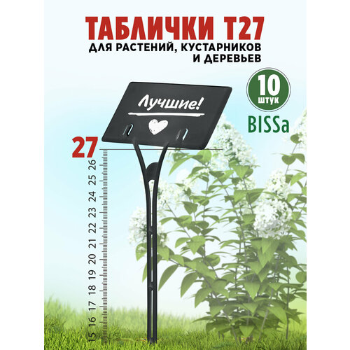 ���� ������� �������� ��� ��������, Bissa �27, ������, 10 ��