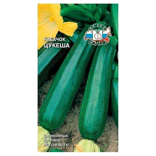 ���� ������ ����� ������� ������