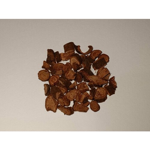 ���� ������ ������� (������)