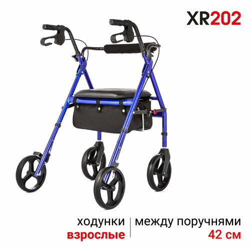      Ortonica XR 202            06-10-05  -     , -  