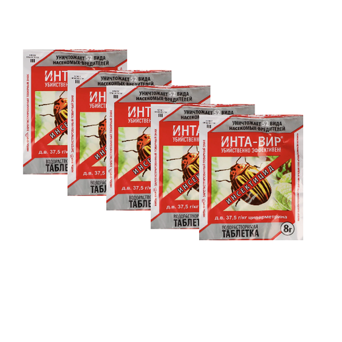 ���� �������� �� ���������-���������� 