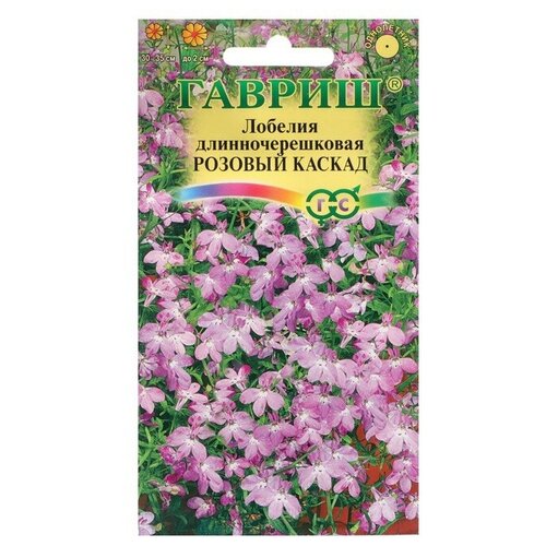 ���� ������ ������ ������� ��������� 