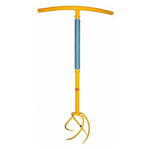 ���� ����������� �������