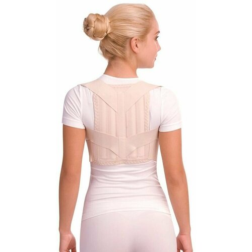 ���� ���������� ������ �.54.01, ������ - xl, �������