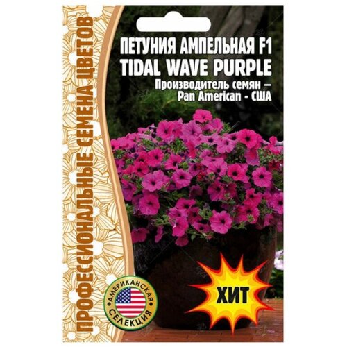     Tidal Wave Purple F1 (5 )