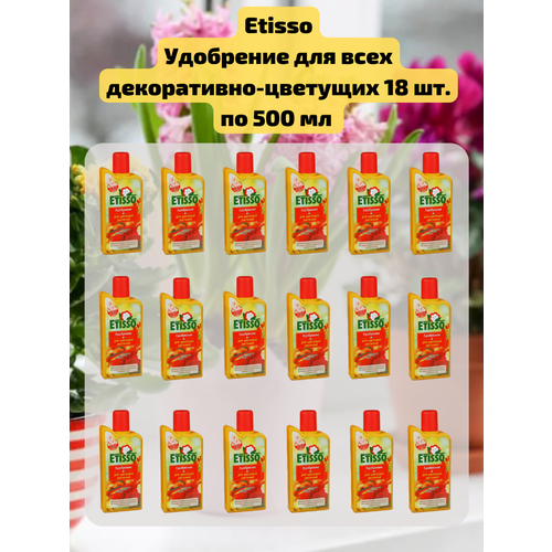    18 .         , 500 . Etisso  -     , -  