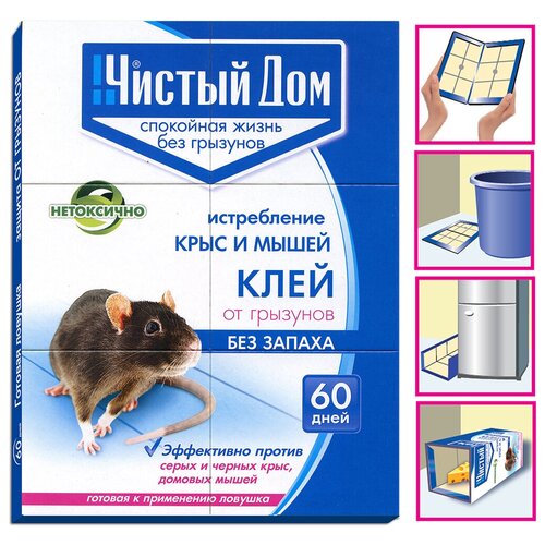 ���� �������� �� �������� ������ ���, ����-�������