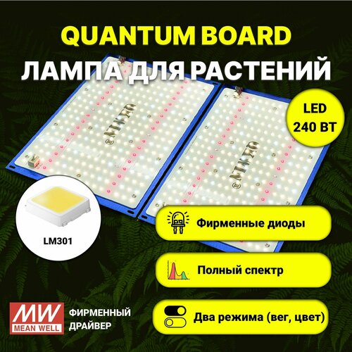     / quantum board c  LM-301,  240 , Mean Well, 5000,    -     , -,   