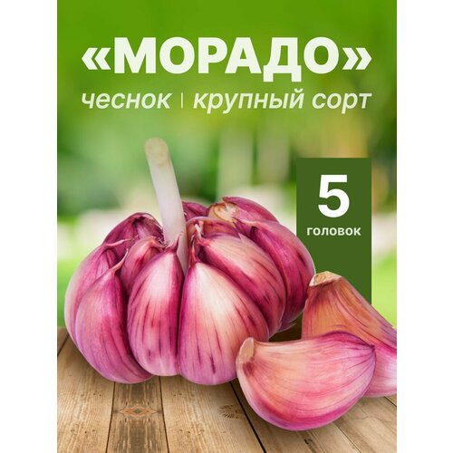 ���� ���������� ������ ������ (�����������) �� ������� 5 �������