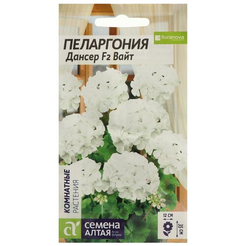 ���� ������ ������ ���������� 