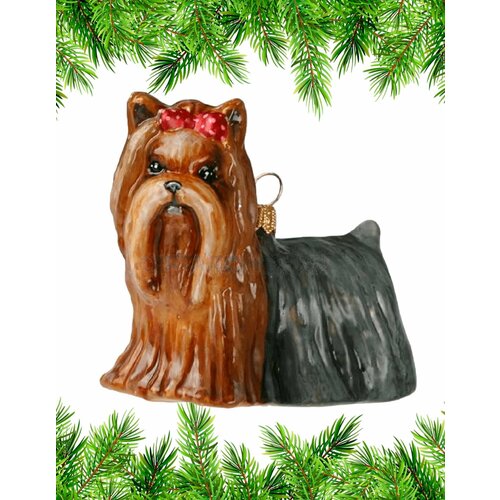 ���� ������� �� ���� ����� Komozja Family