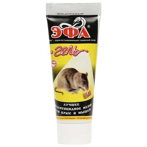 ���� �������� ��� ���� �� ���� � �����, ����, 0.08 �