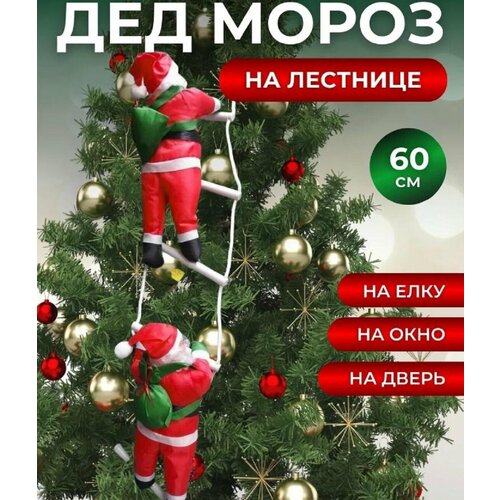 ���� ���������� ����������� ��� ����� �� �������� , ���������� ��������� �� ����, �����, ����, ����� 2025 ���,60 ��