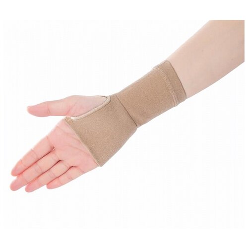   ALMED     Compression 2,  S,   -     , -  