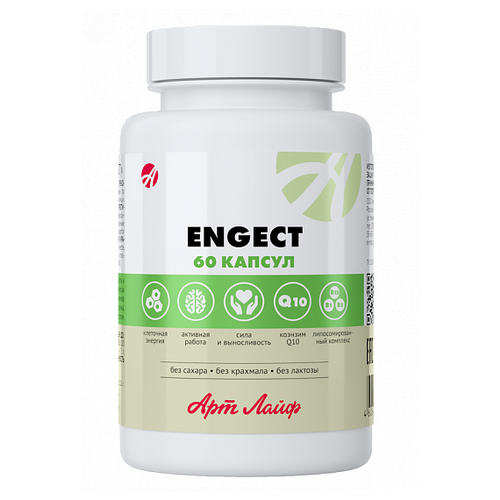 ���� Engect ����., 0.79 �, 60 ��.