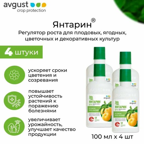   AVGUST ,  , , 100, 4 