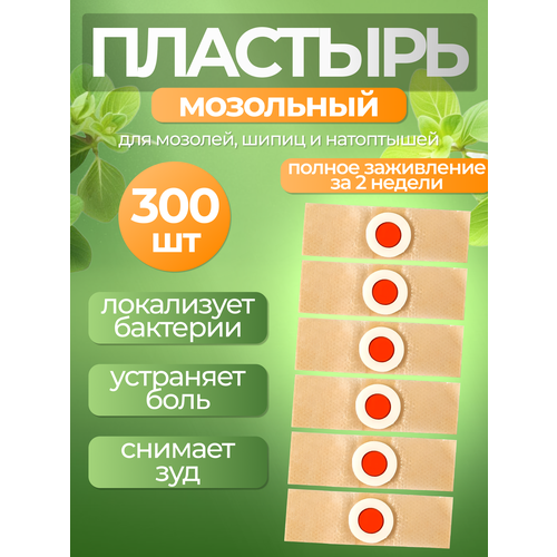 ���� �������� ��������� �������� ��������� ��� ������������ �������, ���������� � ��������� �� ����� - 300 ����