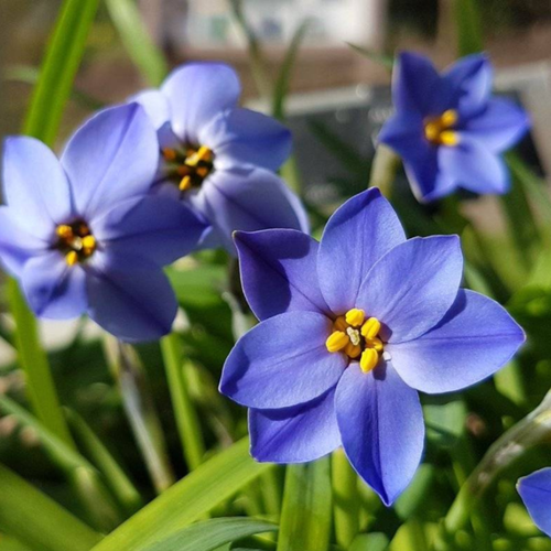 ���� ������ ������ 10 ��.