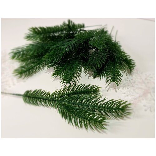 ���� ����� ������ �� ������������� ����� . ���� ������. ������ 25 ��. 10 ��