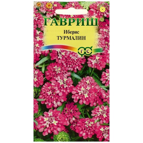 ���� ������ ������ ������ 