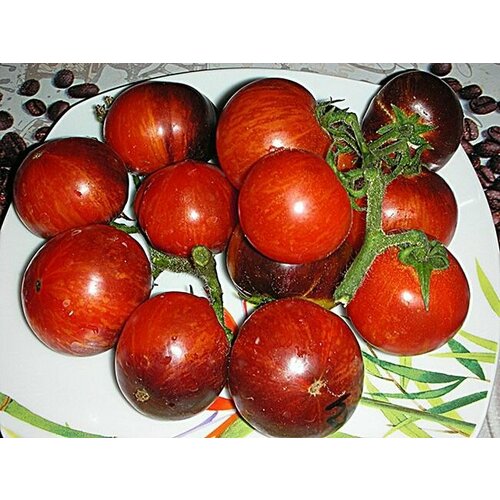 ���� ������������� ������ ������ ���� ��������� ����