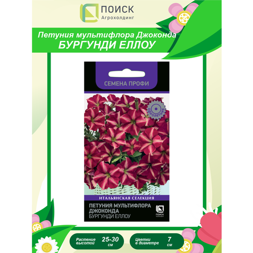 ���� ������ ������� ����������� �������� �������� ����� ��������� ������ ����� ���������� 10 ��.