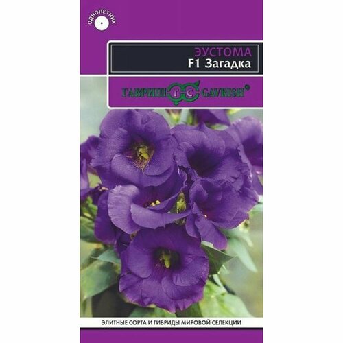 ���� ������ ������� ������� (�������) F1, ����������, (������) 5�� ������. ��������, ���������