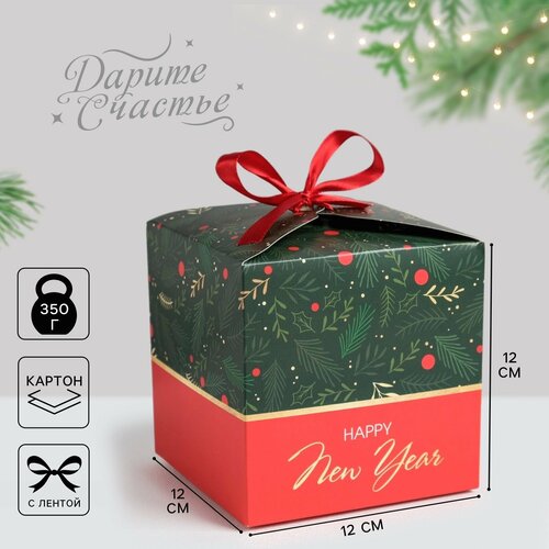 ���� ������� ���������� ������ � ����, 12 � 12 � 12 ��, ����� ���