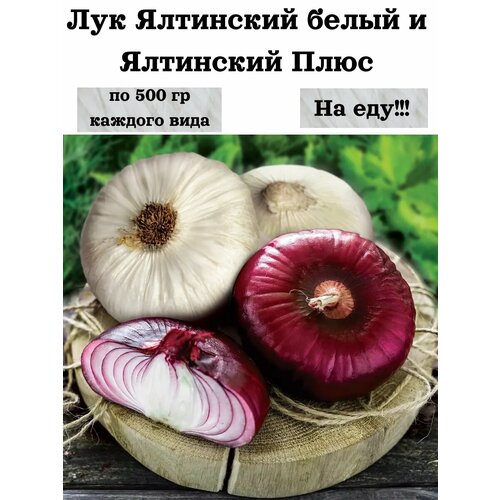 ���� ��� ��������� ����� � ��������� ����, �������� ������NIK, �� 500 �� �� ���