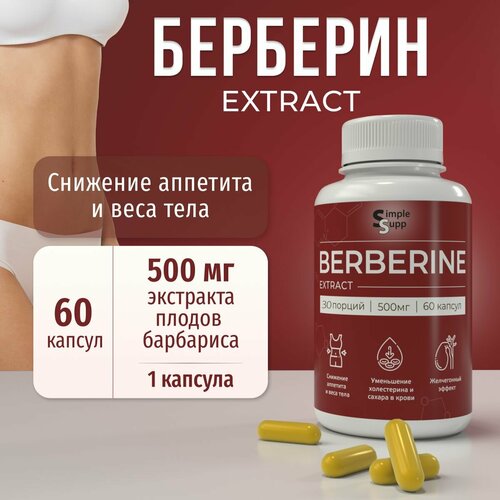 ���� �������� 500 ��, 60 ���, �������� ������ ���������